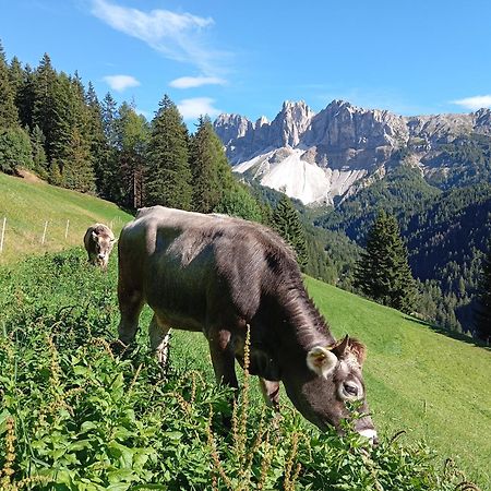 Zimmererhof Brixen Exterior foto
